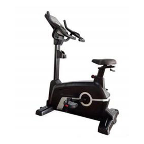 Magnetic Upright Bike