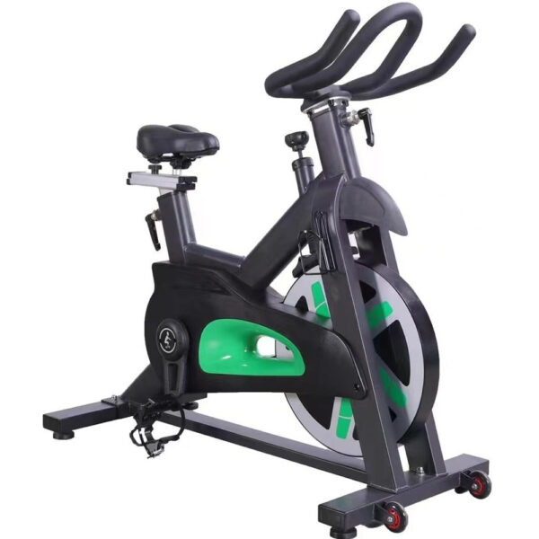 Magnetic Spinning Bike