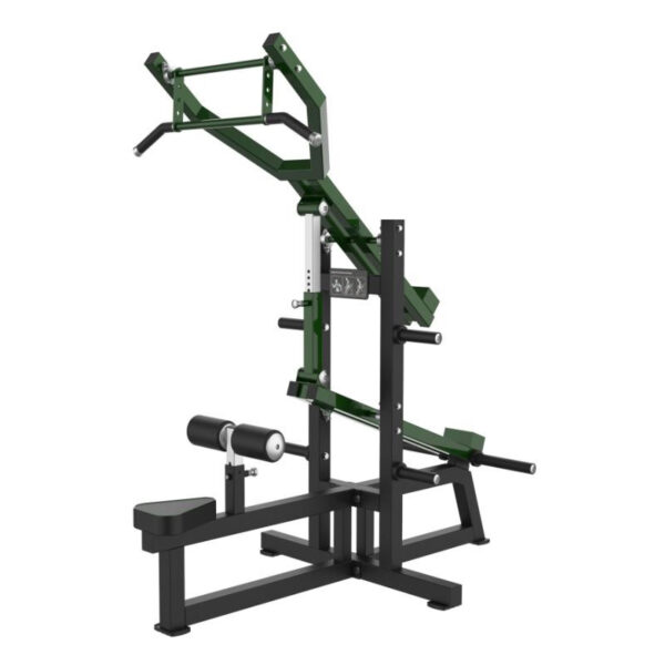 Lat Pulldown & Triceps Dip