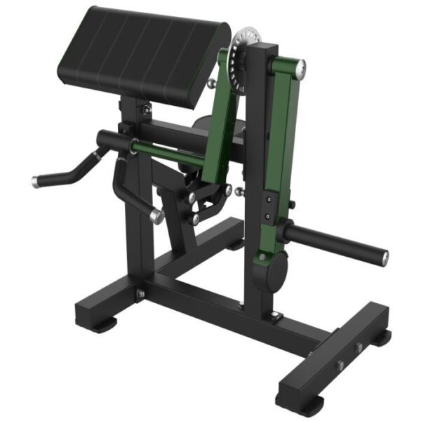 Biceps & Triceps Extension