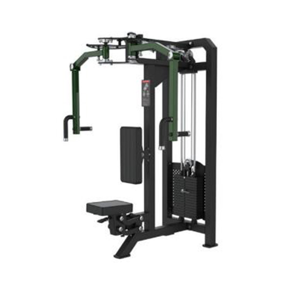 Rear Delt / Pec Fly