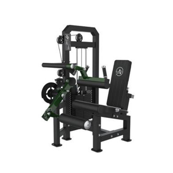 Leg Curl/Extension