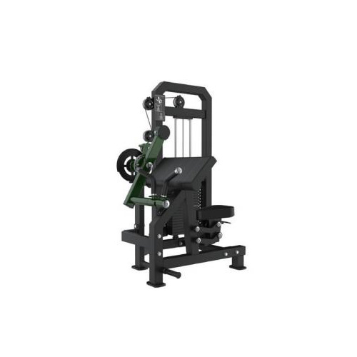 Biceps/Triceps Extension