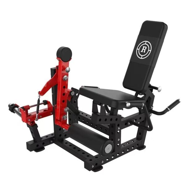 Leg Curl/Extension