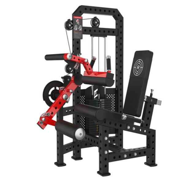 Seated Leg Press/Curl