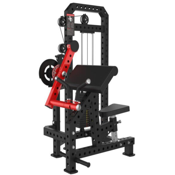 Biceps/Triceps Trainer