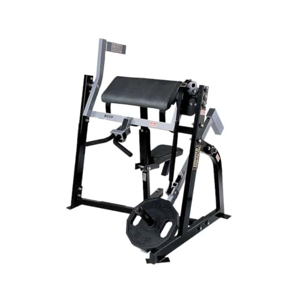 Seated Biceps