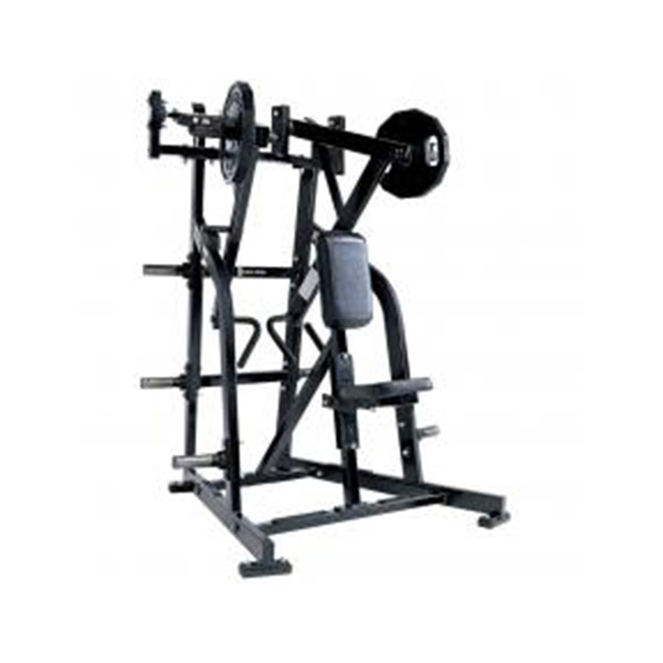 Iso-Lateral Low Row