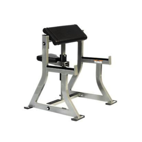 Seated Arm Curl
