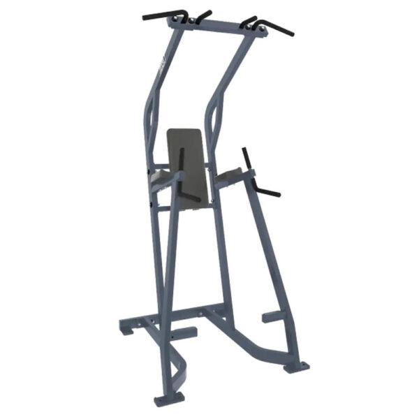 Chin/Dip/Leg Raise