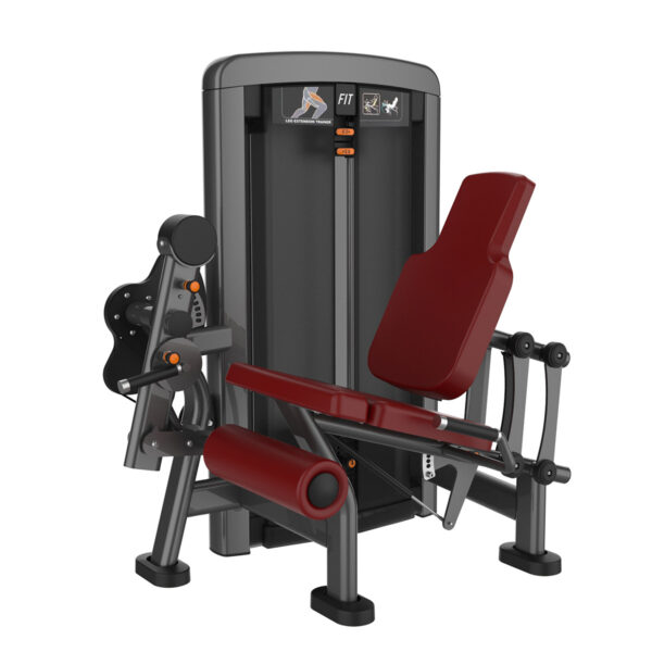 Seated Leg Extension