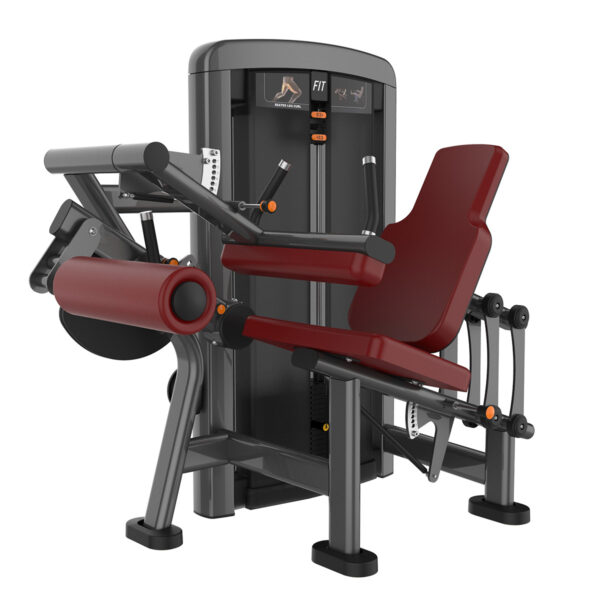 Seated Leg Curl