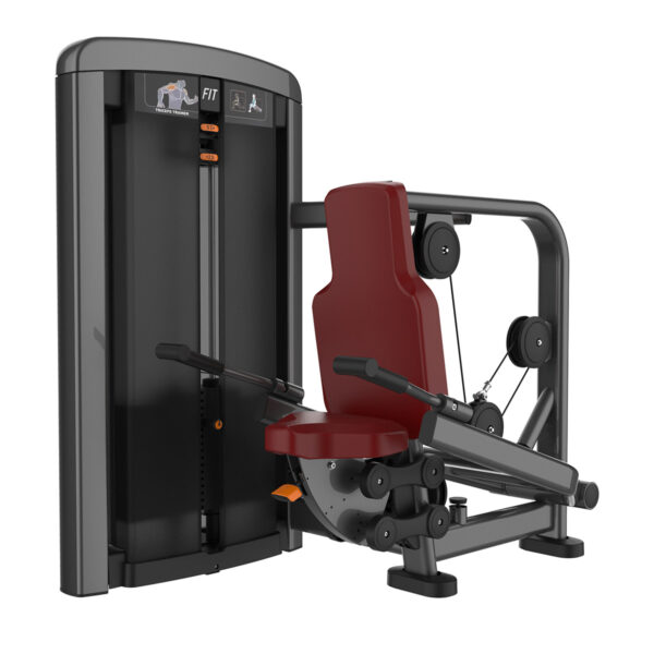 Triceps Trainer