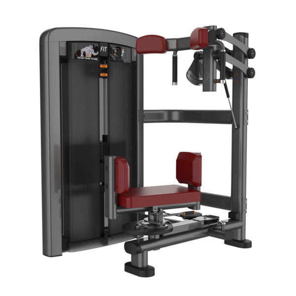 Seated Rotary Torso