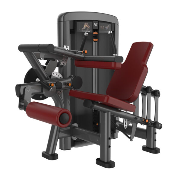 Leg Curl/Extension