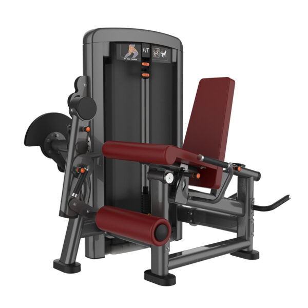 Seated Leg Extension /Prone Leg Curl