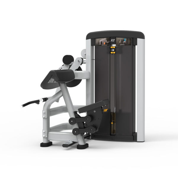 Biceps Curl /Triceps Extension