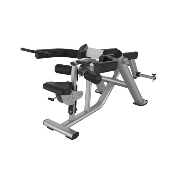 Triceps Dip