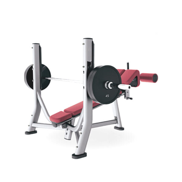 Multi-purpose Decline Bench