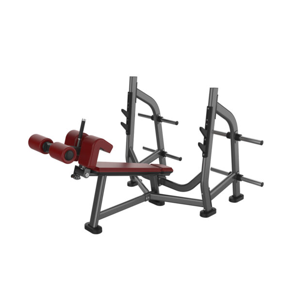 Decline Bench