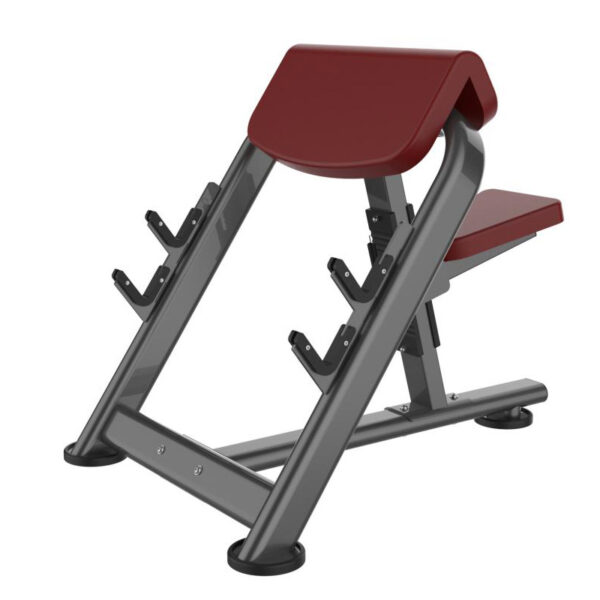 Seated Bicep Curl