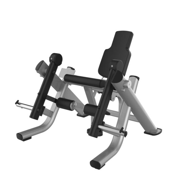 Leg Extension
