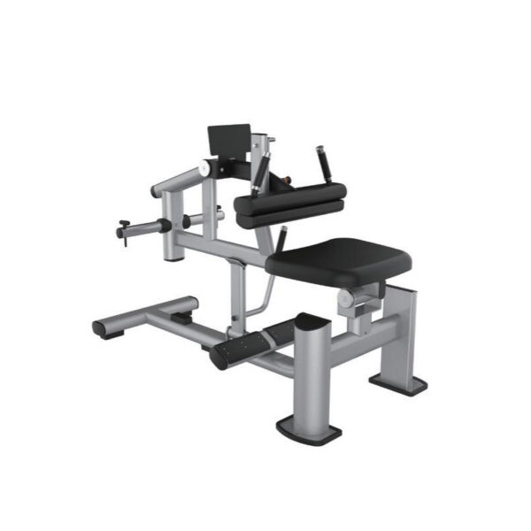 Seated Calf