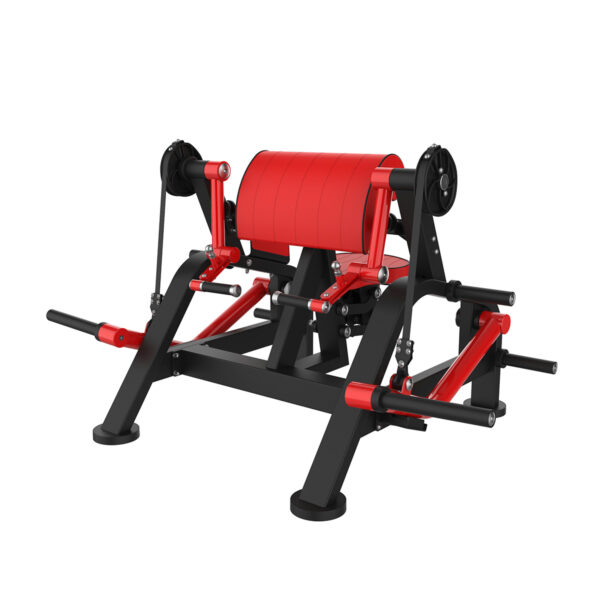Bicep Trainer