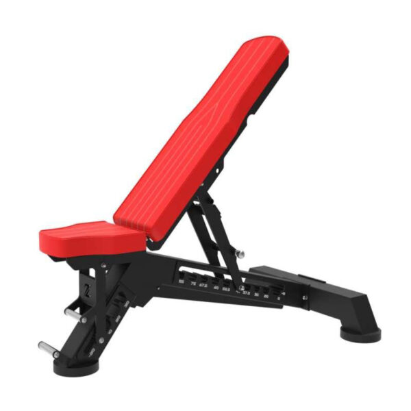 Dumbbell Bench