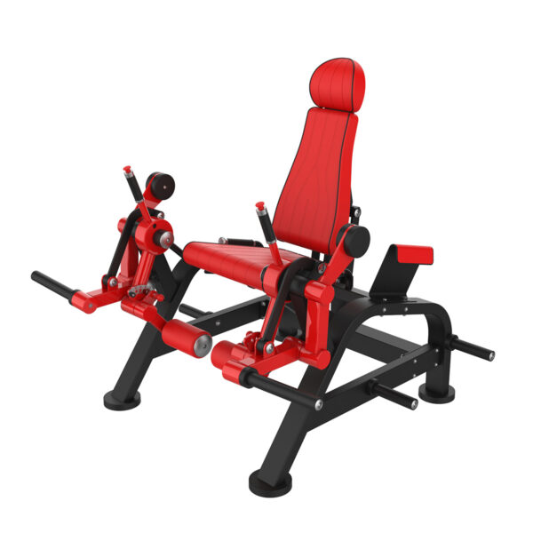 Alternate Leg Extension