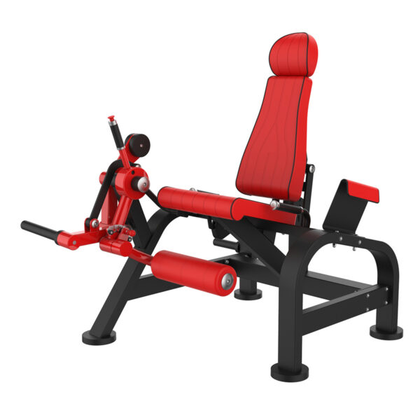 Leg Extension