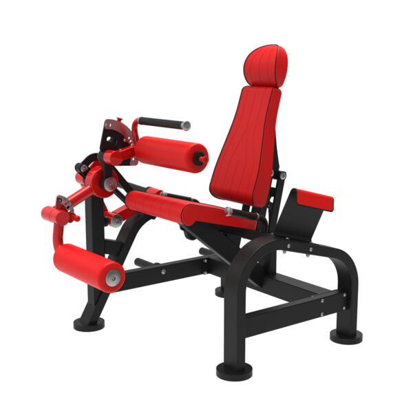 Leg Extension