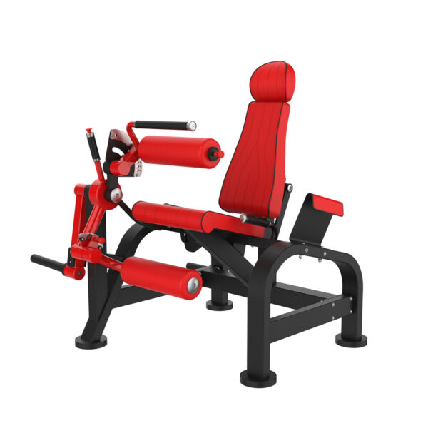 Leg Extension/Curl