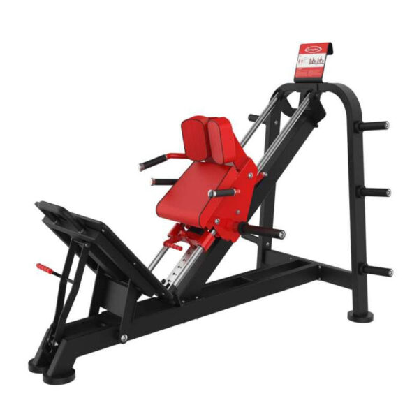 Hack Squat Leg Press