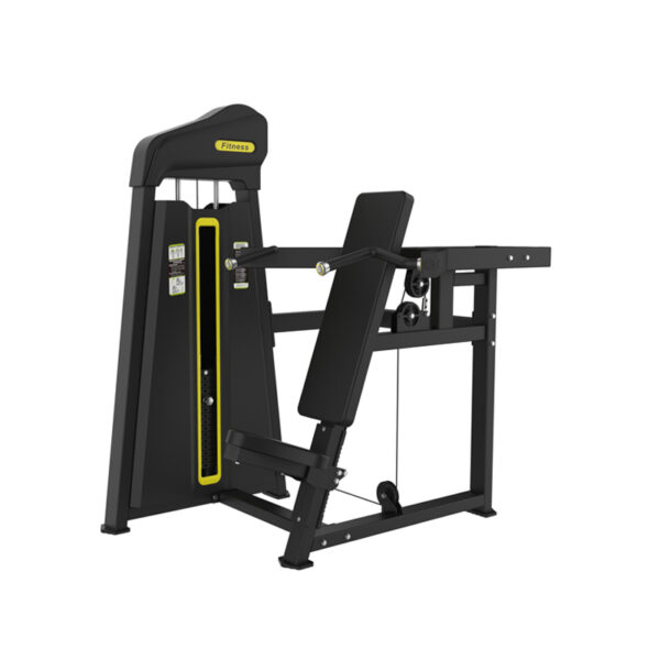 Shoulder Press
