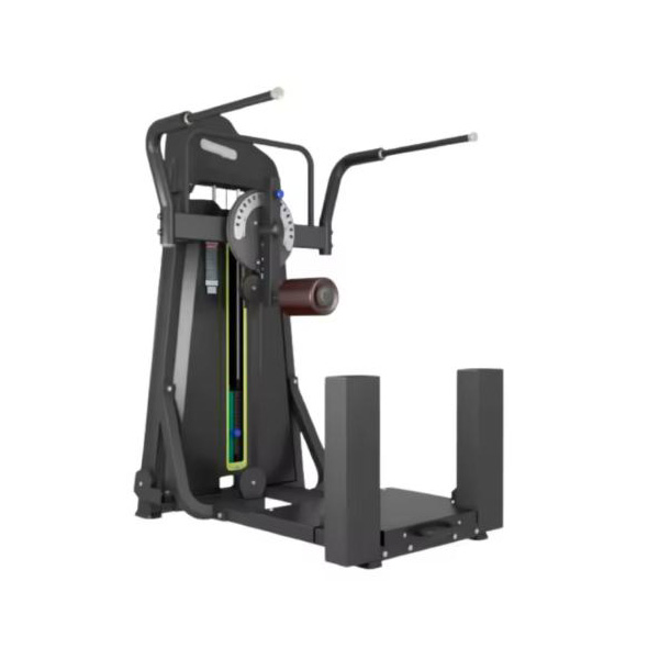Multi Hip Machine