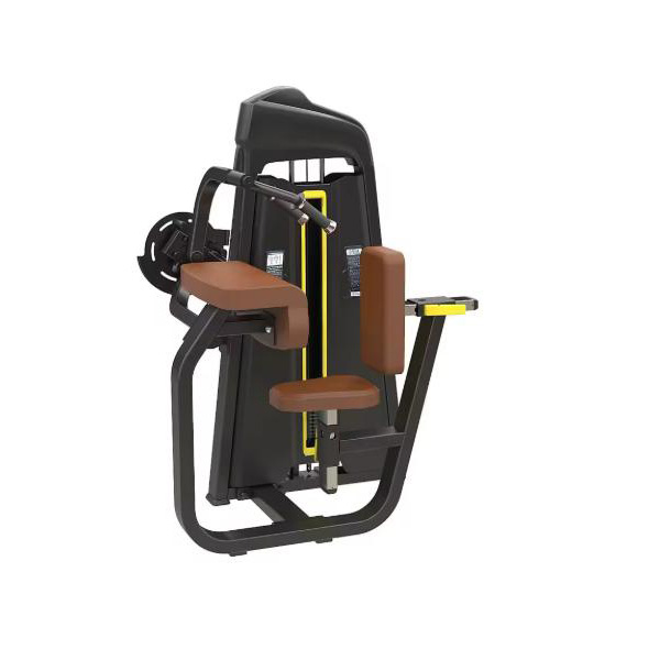 Seated Tricep Curl