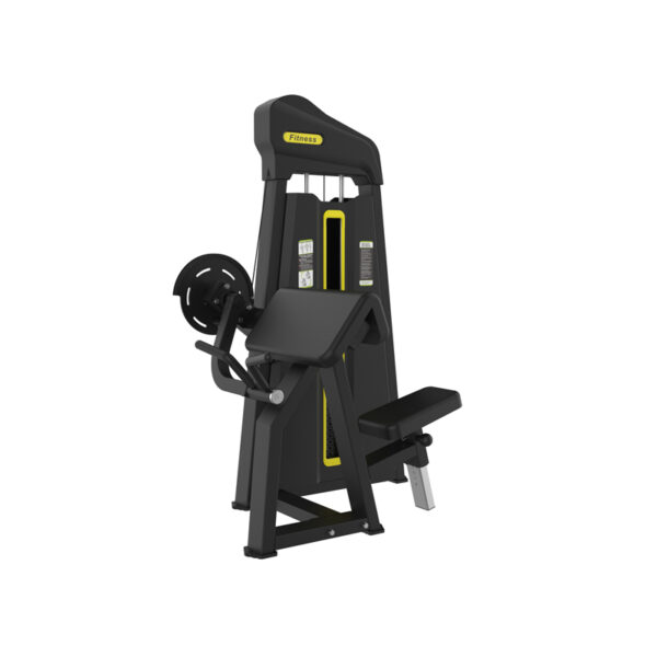Seated Bicep Curl