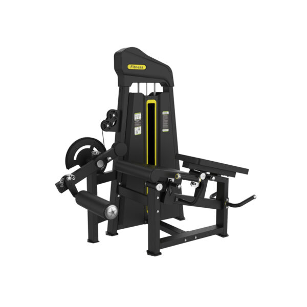 Seated Leg Press/Prone Curl