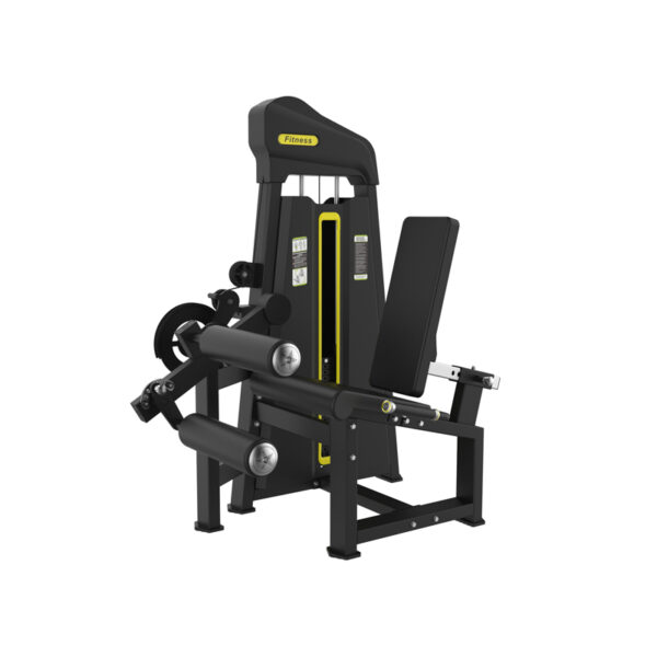 Seated Leg Press/Curl