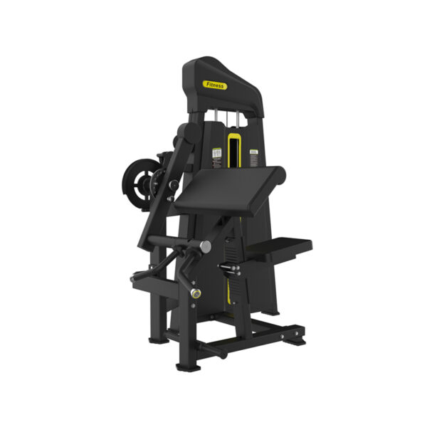 Seated Bicep/Tricep Curl