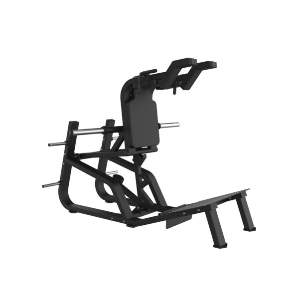 Hack Squat