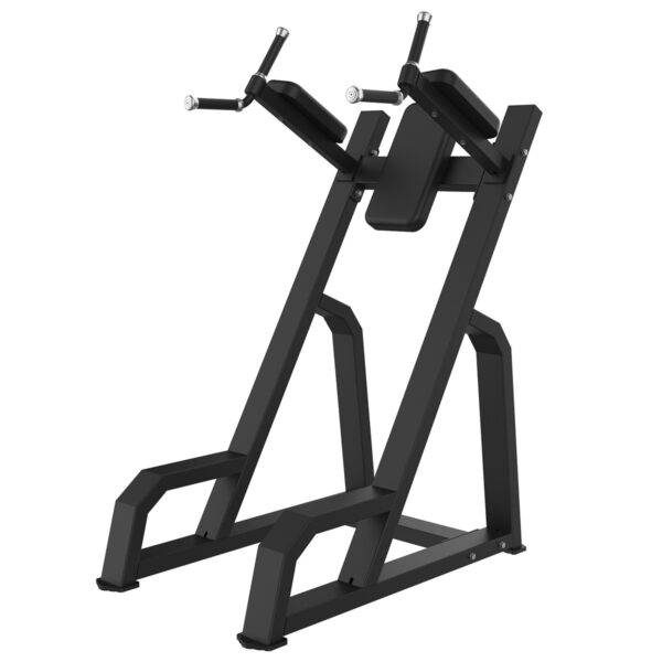 Vertical Knee Up/Dip