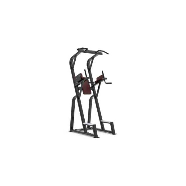 Vertical Kness Up/Dip/Chin up