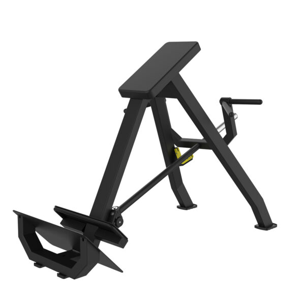 Seated Bicep Curl