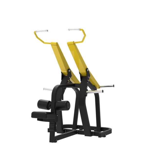 Seated Lat Pulldown