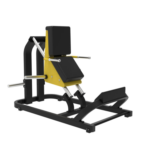 Hack Squat