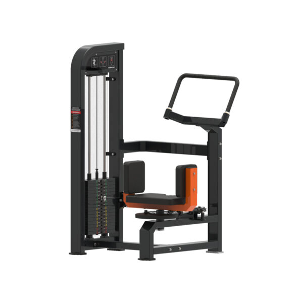 Rotary Torso Machine