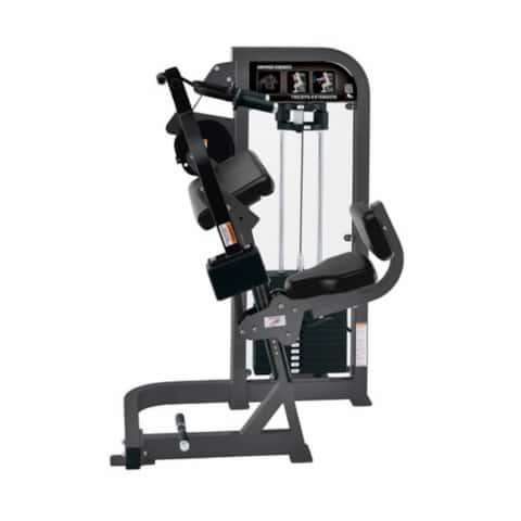 Select Triceps Extension