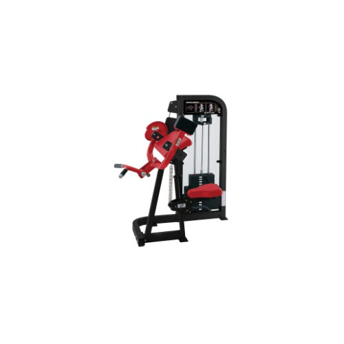 Select Biceps Curl